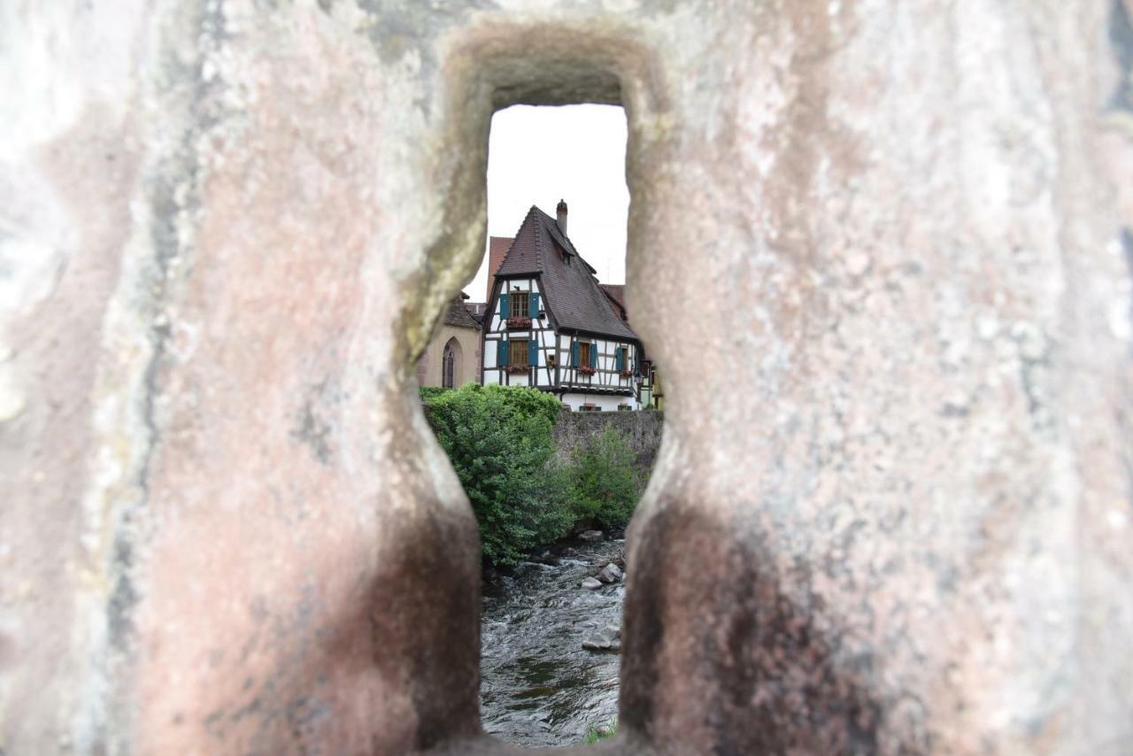 Le Cerisier Villa Kaysersberg-Vignoble ภายนอก รูปภาพ