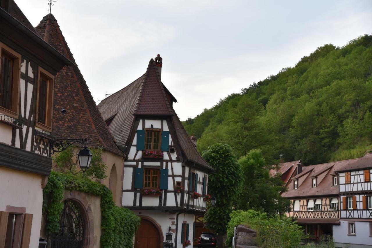Le Cerisier Villa Kaysersberg-Vignoble ภายนอก รูปภาพ