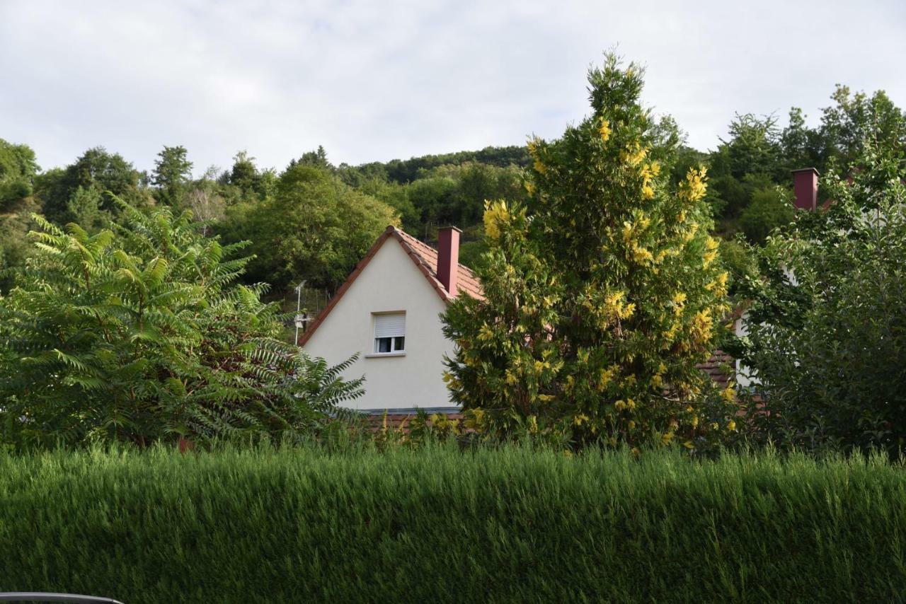 Le Cerisier Villa Kaysersberg-Vignoble ภายนอก รูปภาพ